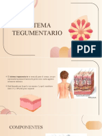 Sistema Tegumentario 2