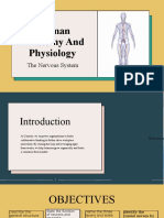 Human Anatomy and Physiology