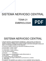 Sistema Nervioso Central: Tema 21 Embriologia