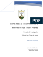 Como Afecta La Contaminación A La Biodiversidad en La Region de Tula de Allende
