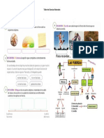 Taller de Ciencias Naturales - Fuerzas 1