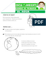 Tipos y Estados Del Agua para Segundo de Primaria