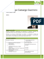CV - Luis Felipe Camargo