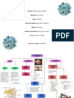 Mapa - Nervio Trigémino