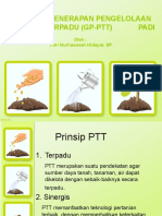 GP-PTT Padi