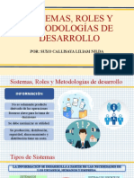 Sistemas, Roles y Metodologías de Desarrollo Diapositivas