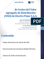 VAD 2019 2023 4 ElectroPuno