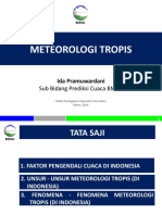 Materi Diklat KapasitasForecaster Ida Pramuwardani