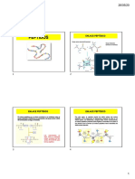 05 PEPTIDOS - Modo de Compatibilidad