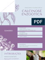 Calcinose Enzoótica