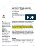 Effects of Foliar Application of Amino Acid