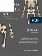 Sistema Articular