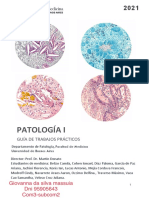 Guía de Patología I