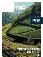 TRENTINO WINE ON TOUR - Eine Reise durch die faszinierende Weinvielfalt des Trentino