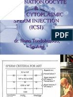 Workshop Insemination & ICSI, (Dr. Nono, 2013)