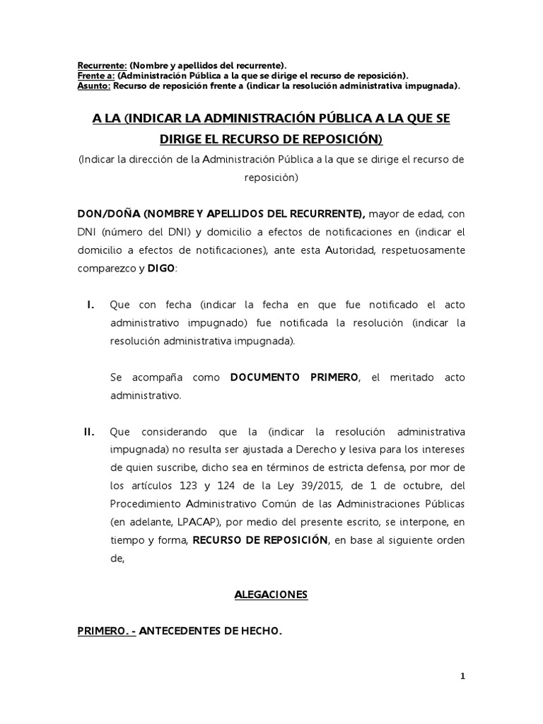 modelo-de-recurso-de-reposicion-pdf-apelaci-n-interlocutoria-justicia
