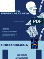 Anatomia Especialzada
