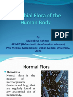 5 Microbial Flora of The Human Body