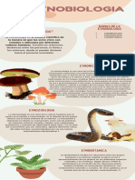 Infografia ETNOBIOLOGIA