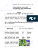 Analisis Penambatan Molekuler Potensi Asam Fenolik Bunga Telang