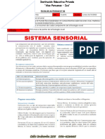 Sistema Sensorial 02-1