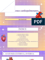 Interacciones Cardiopulmonares