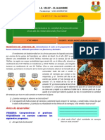 3°y4° - Actividad 4