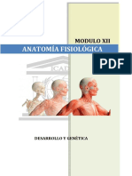 Módulo 12 Anatomia Fisiológica