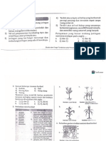Latihan Soal Struktur Dan Fungsi Jaringan Tumbuhan