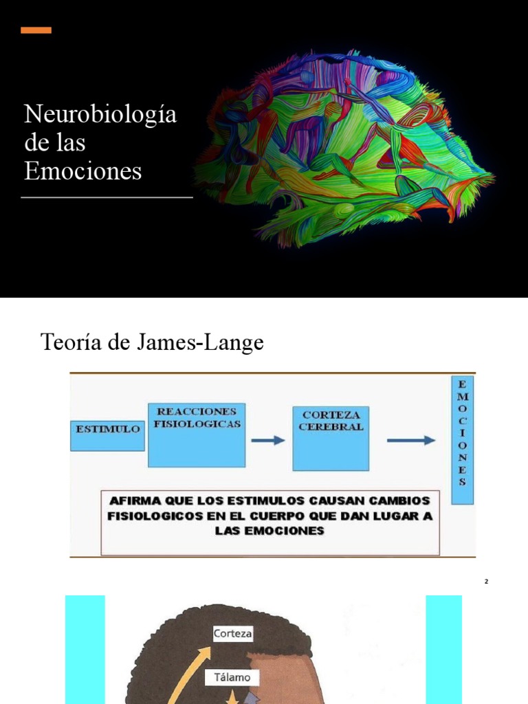 Neurobiología de las Emociones y Teorías | PDF | Las emociones | Cerebro