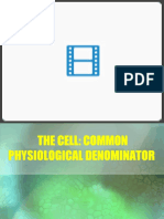 Cell Cycle BS 203