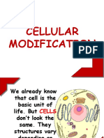 Cellular Modification