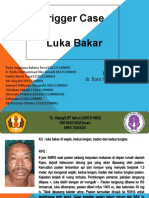 Trigger Case Luka Bakar