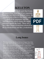 Types of Bones in the Skeleton