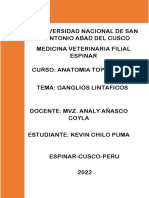 Universidad Nacional de San Antonio Abad Del Cusco Medicina Veterinaria Filial Espinar Curso: Anatomia Topografica Tema: Ganglios Lintaficos