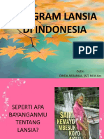Program Lansia Di Indonesia