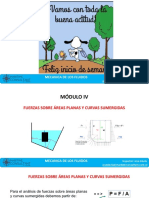 Modulo Iv Fuerzas Sobre Áreas Planas y Curvas Sumergidas y Su Aplicación A Bordo 2022