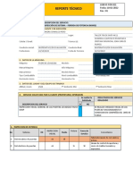 Reporte de Inspección de Puertas Levadizas