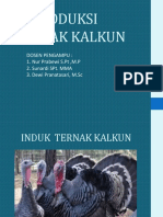 Reproduksi Ternak Kalkun: Dosen Pengampu: 1. Nur Prabewi S.PT, M.P 2. Sunardi Spt. Mma 3. Dewi Pranatasari, M.SC