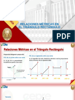 RsMs en El Triángulo Rectángulo. Teoría