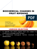 Biochemical Changes in Fruit Ripening
