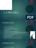 La Prueba