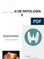 Examen de Patología Ii