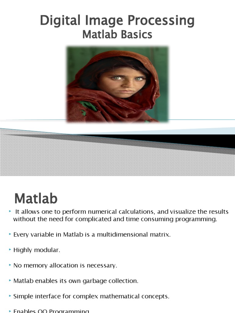 Digital Image Processing Matlab Basics | PDF | Array Data Structure ...