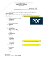 06 Esquema - Célula Eucariota 2021