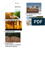 5 Problemas Que Afecten El Medio Ambiente y Con Imágenes