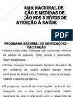 Importância dos níveis de atenção à saúde no Programa Nacional de Vacinação brasileiro