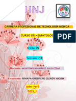 Clendy Yudith Rimapa Guerrero - Hematologìa S14