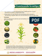 Infografias DNM 29 09 22