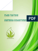 Plan Tactico